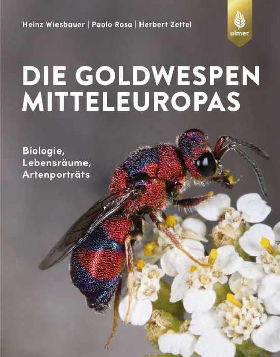 Cover for Wiesbauer · Goldwespen Mitteleuropas (Book)