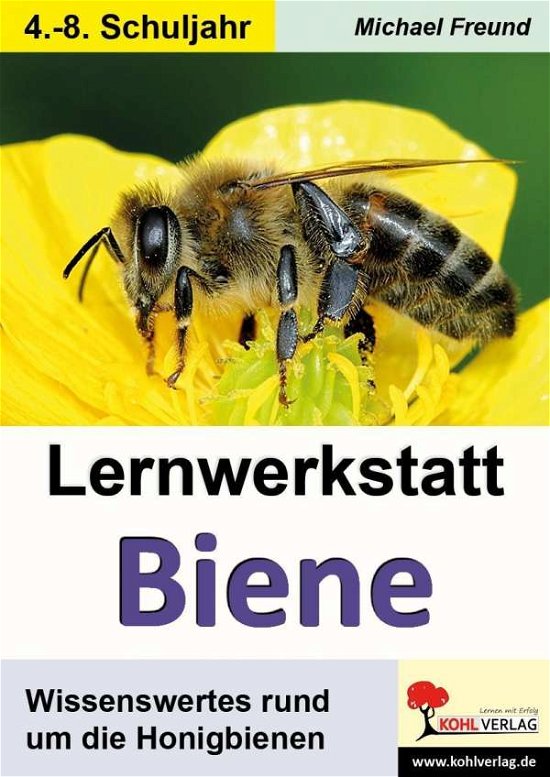 Cover for Freund · Lernwerkstatt Biene (Bok)