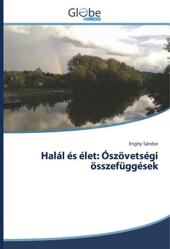 Cover for Sándor · Halál és élet: Ószövetségi össze (Book)
