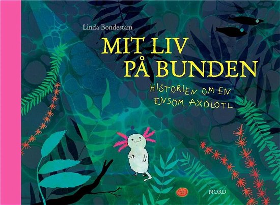 Cover for Linda Bondestam · Mit liv på bunden (Indbundet Bog) [1. udgave] (2022)