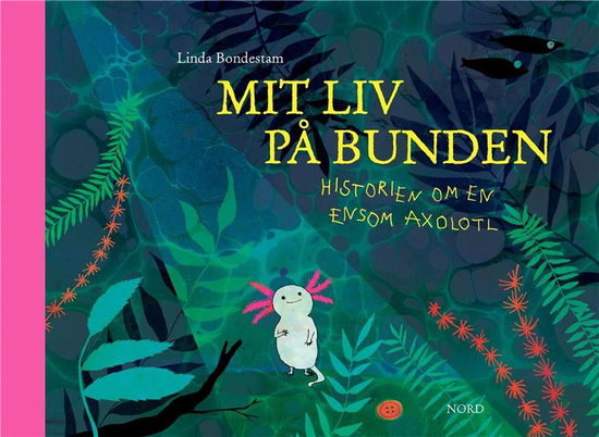 Cover for Linda Bondestam · Mit liv på bunden (Indbundet Bog) [1. udgave] (2022)