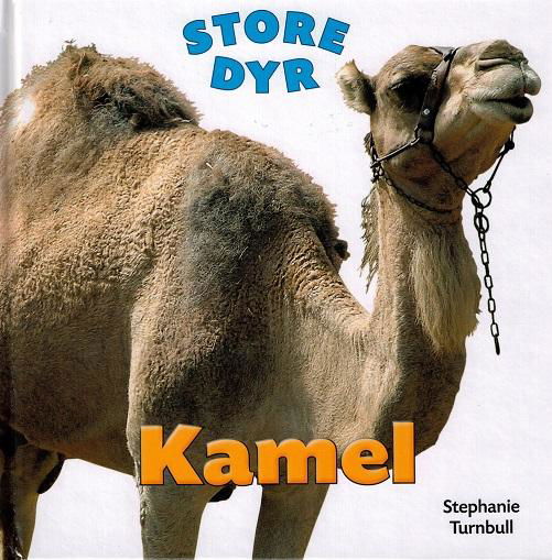 Cover for Stephanie Turnbull · Store dyr: STORE DYR: Kamel (Gebundesens Buch) [1. Ausgabe] [Indbundet] (2015)