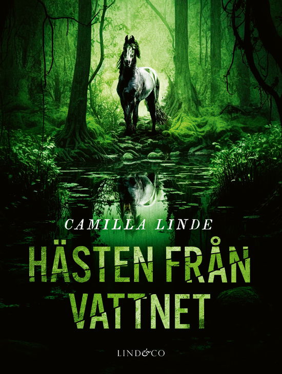 Cover for Camilla Linde · Hästen från vattnet (Gebundesens Buch) (2023)