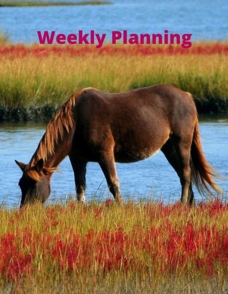 Cover for Blank Lined Notebook · Weekly Planning (Pocketbok) (2020)