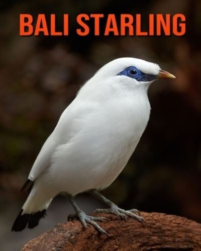 Cover for William Doyle · Bali Starling (Paperback Book) (2020)