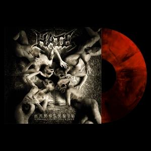 Cover for Hate · Anaclasis: A Haunting Gospel Of Malice &amp; Hatred (LP) (2025)