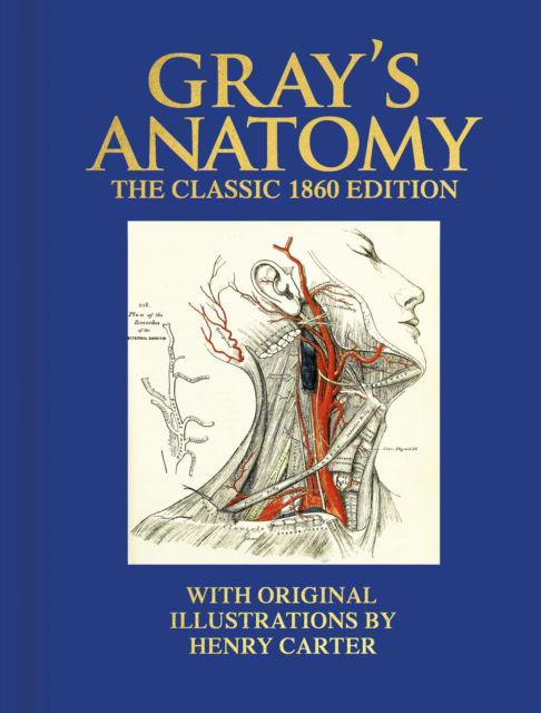 Cover for Henry Gray · Gray's Anatomy: The Classic 1860 Edition with Original Illustrations by Henry Carter - Arcturus Deluxe Reference Library (Innbunden bok) (2023)