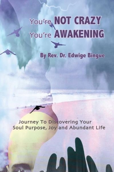 Cover for Edwige Bingue · You're Not Crazy, You're Awakening: Journey to Dicovering Your Soul Purpose, Joy, and Abundant Life (Paperback Book) (2013)