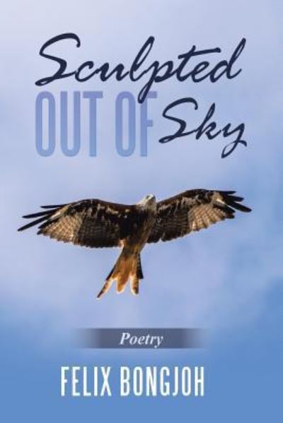 Sculpted out of Sky - Felix Bongjoh - Książki - Trafford Publishing - 9781490795492 - 31 maja 2019