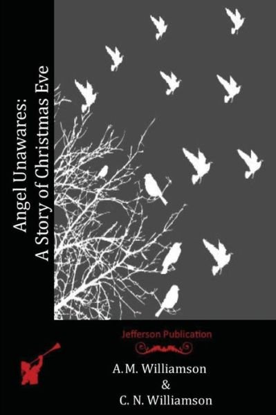 Cover for C N Williamson · Angel Unawares (Paperback Bog) (2016)