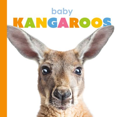 Cover for Kate Riggs · Baby Kangaroos (Hardcover Book) (2020)