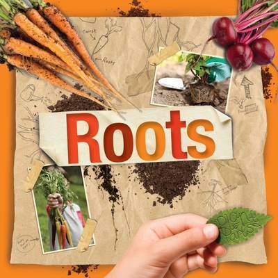 Cover for Steffi Cavell-Clarke · Roots - Plant Parts (Hardcover Book) (2017)