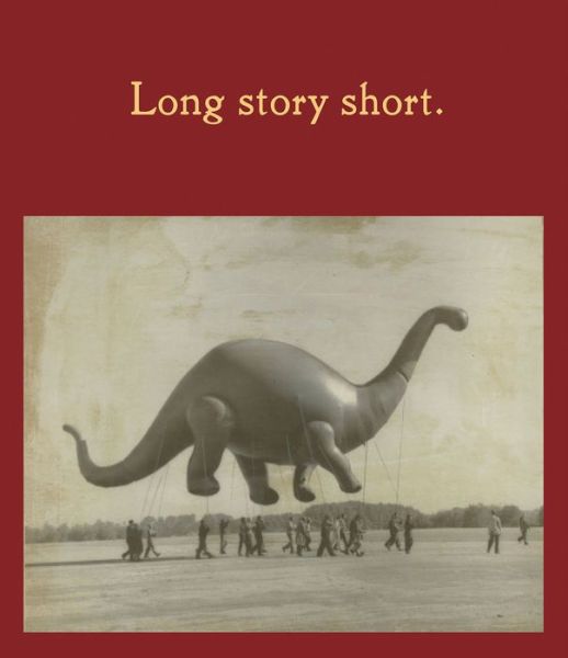 Cover for Long Story Short (Hardcover Book) (2019)