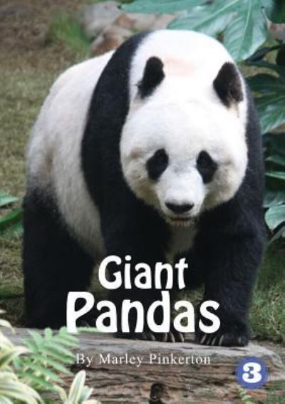 Cover for Marley Pinkerton · Pandas (Paperback Book) (2019)