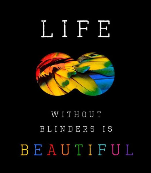 Cover for David W. Miles · Life Without Blinders . . . Is Beautiful (Hardcover Book) (2017)