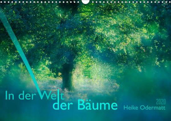 Cover for Odermatt · In der Welt der Bäume (Wandkal (Book)