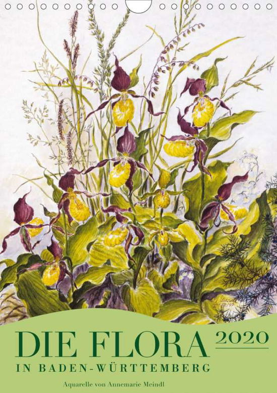 Cover for Meindl · Die Flora in Baden-Württemberg ( (Book)