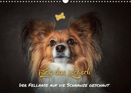 Cover for Schöberl · Fang das Leckerli! (Wandkalend (Book)