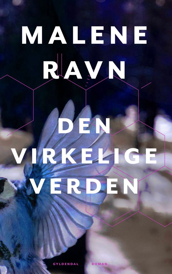 Cover for Malene Ravn · Den virkelige verden (Bound Book) [1.º edición] (2023)