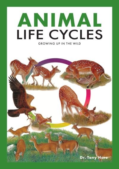 Cover for Tony Hare · Animal Life Cycles: Discovering How Animals Live in the Wild (Paperback Book) (2022)