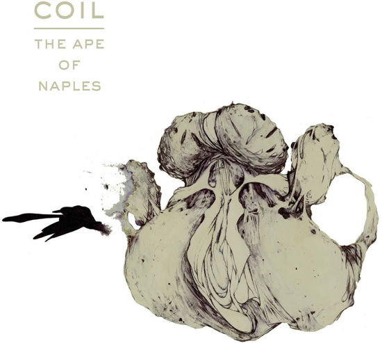 Cover for Coil · The Ape of Naples (Picture LP with Slipmat) (LP) [Picture Disc edition] (2023)