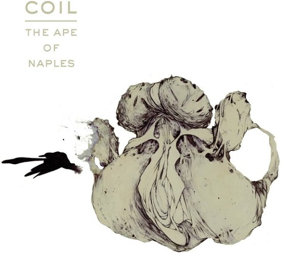 Cover for Coil · The Ape of Naples (Picture LP with Slipmat) (LP) (2023)