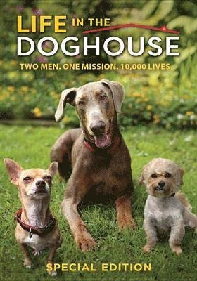 Cover for DVD · Life in the Doghouse (DVD) [Special edition] (2019)