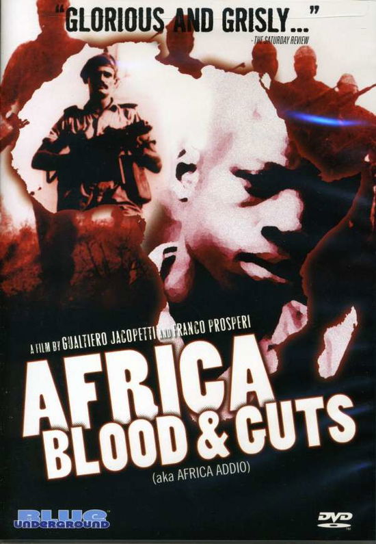 Cover for Africa Blood &amp; Guts (DVD) (2008)