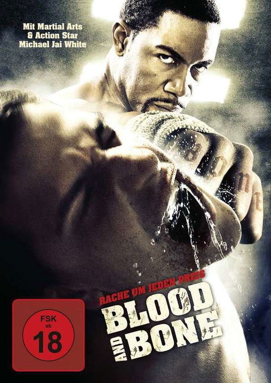 Cover for Blood and Bone (DVD) (2010)