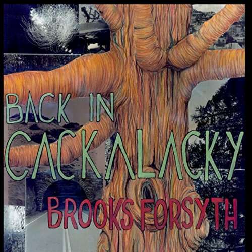 Cover for Brooks Forsyth · Back in Cackalacky (CD) (2015)