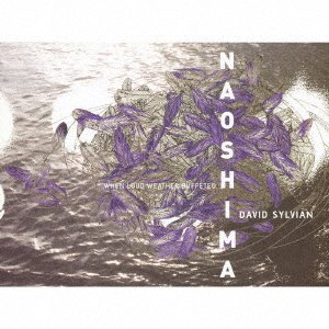 Cover for David Sylvian · When Loud Weather Buffeted Naoshima (CD) [Japan Import edition] (2007)