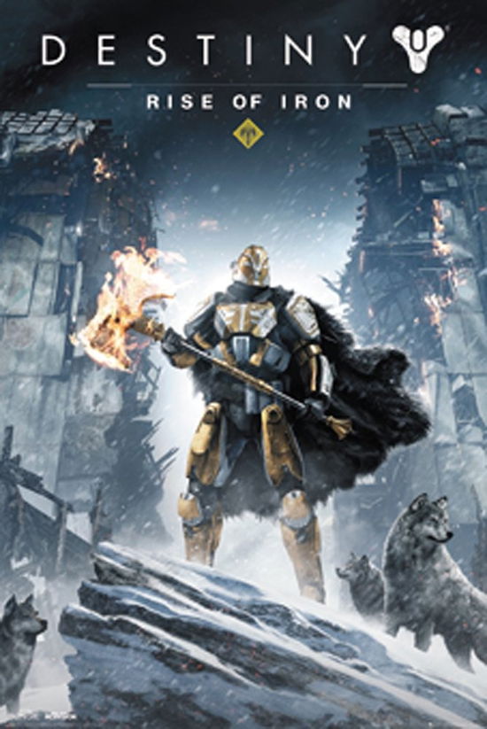 Cover for Destiny · Destiny - Rise Of Iron (Poster Maxi 61x91,5 Cm) (Toys)