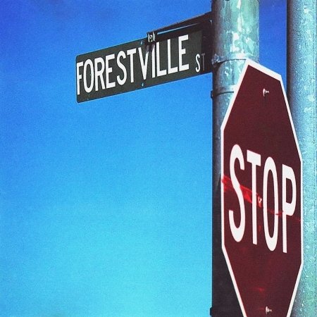 Cover for Bracket · 924 Forestville St (LP) (2024)