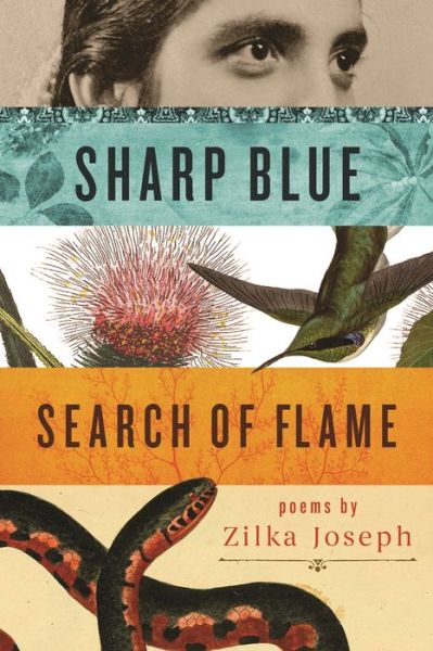 Cover for Zilka Joseph · Sharp Blue Search of Flame - Made in Michigan Writers Series (Paperback Book) (2016)