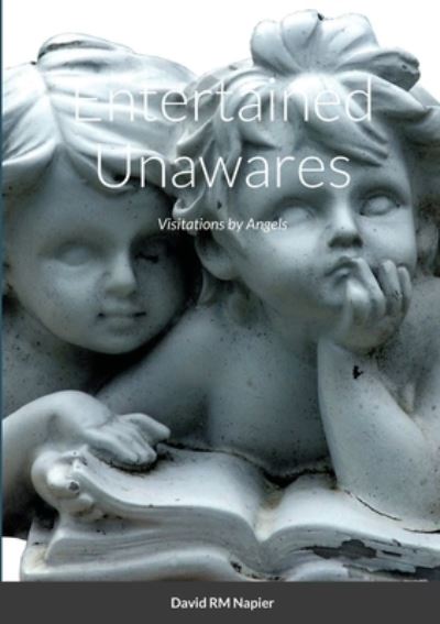 Cover for David Napier · Entertained Unawares (Book) (2021)