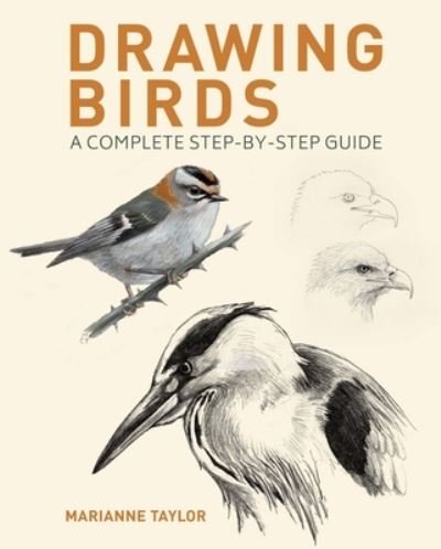 Cover for Marianne Taylor · Drawing Birds (Book) (2023)