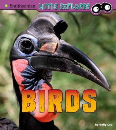Cover for Sally Lee · Birds A 4D Book (Book) (2018)