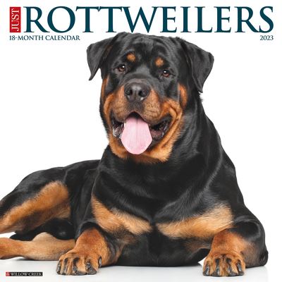 Cover for Willow Creek Press · Just Rottweilers 2023 Wall Calendar (Book) (2022)