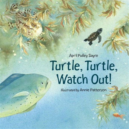 Cover for April Pulley Sayre · Turtle, Turtle, Watch Out! (Paperback Book) (2010)