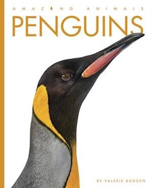 Cover for Valerie Bodden · Penguins (Buch) (2022)