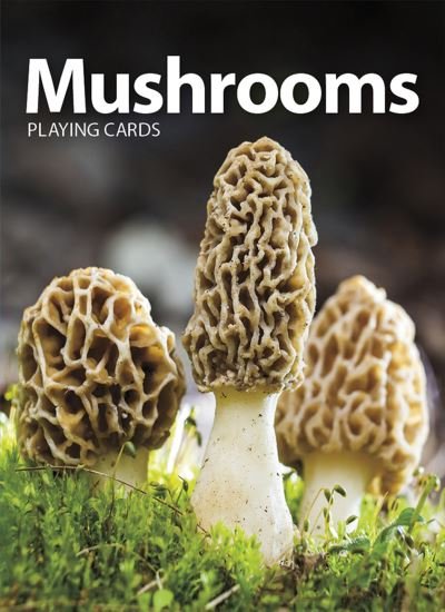 Mushrooms Playing Cards - Adventure Publications - Jogo de tabuleiro - Adventure Publications, Incorporated - 9781647550493 - 16 de março de 2021