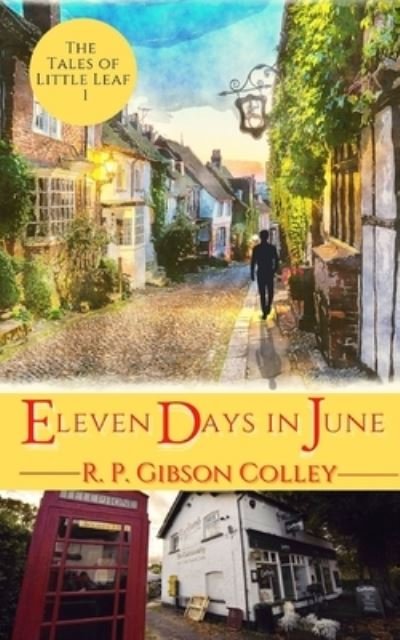 Cover for R P Gibson Colley · Eleven Days in June (Paperback Book) (2021)