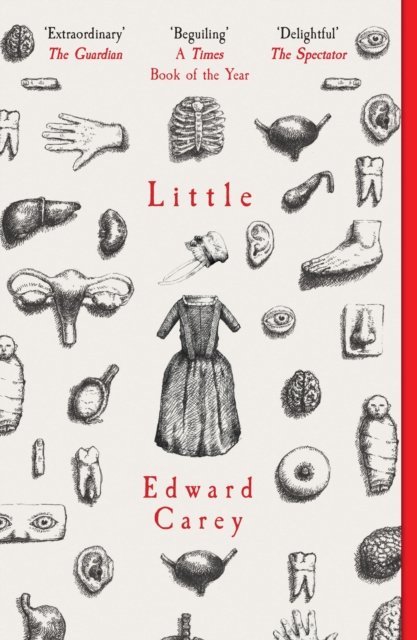 Little: - Edward Carey - Books - Gallic Books - 9781913547493 - November 17, 2022