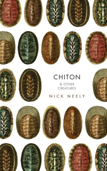 Cover for Nicholas Neely · Chiton &amp; Other Creatures (Paperback Book) (2015)