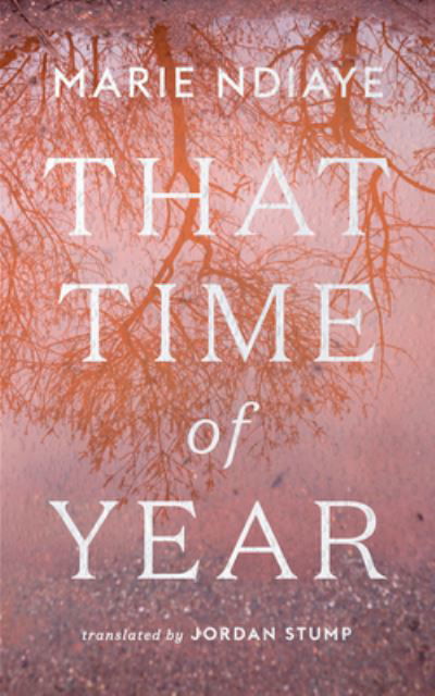 Cover for Marie NDiaye · That Time of Year (Bok) (2023)