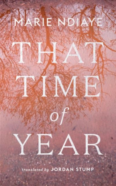 Cover for Marie NDiaye · That Time of Year (Bog) (2023)