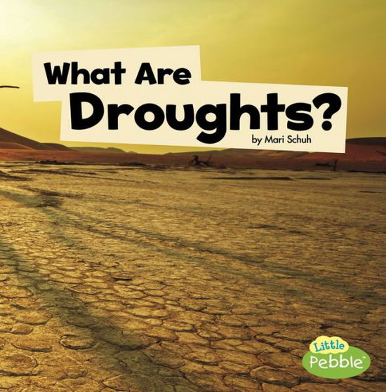 What Are Droughts? - Mari Schuh - Books - Capstone - 9781977105493 - 2019