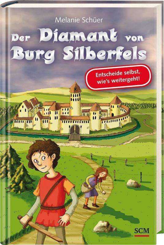 Cover for Schüer · Der Diamant von Burg Silberfels (Book)