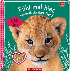 Cover for Coppenrath F · Fühl mal hier, kennst du das Tier? Wilde Tiere (Board book) (2022)