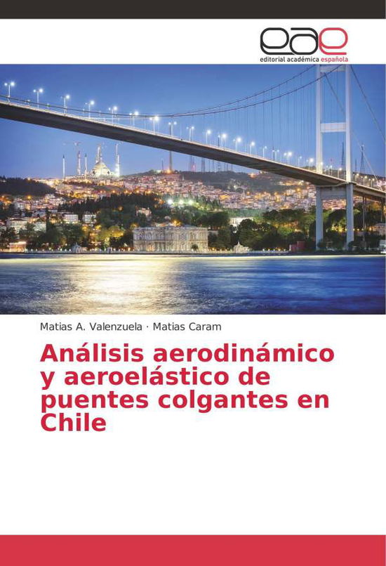 Cover for Valenzuela · Análisis aerodinámico y aero (Book)